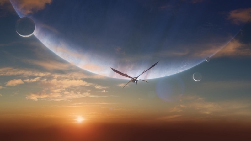 movies, action, sci fi, 1080P, adventure, avatar