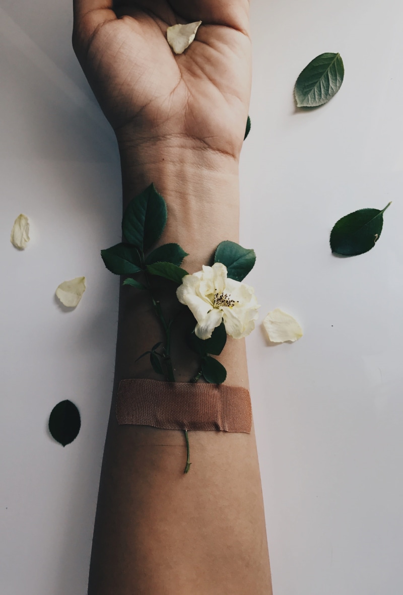 heal, human hand, plant, indoors, freshness, rose, flower head, love, white color, nature, leisure activity, 2K, holding, body part, tumblr, powai, aesthetic