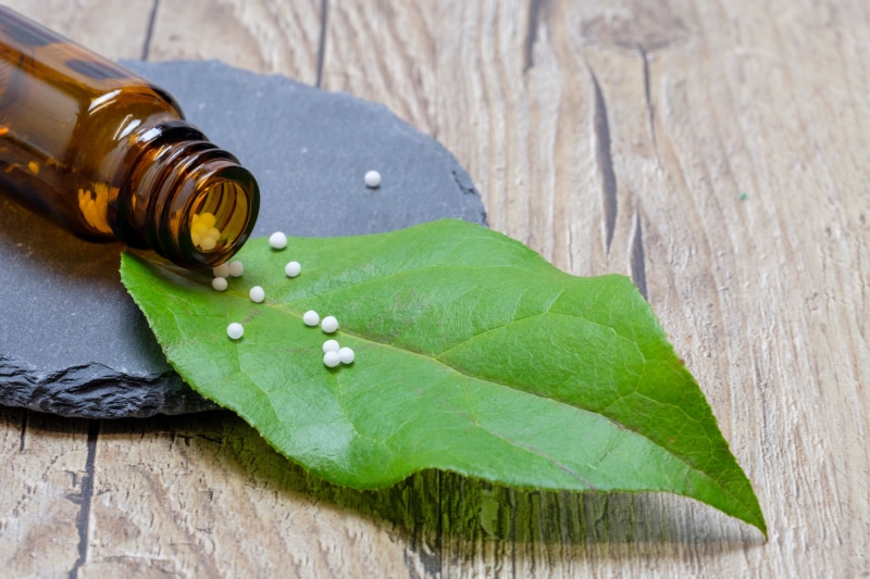 day, green, near, wood - material, medicine, nature, naturopaths, pill, alternative therapy, plant, no people, 5K, leaves, aromatherapy, cure, healthcare and medicine