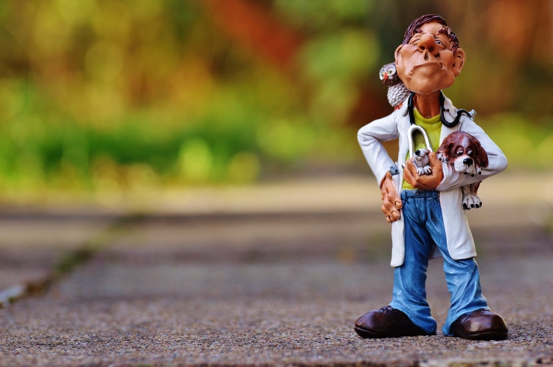 small, holding, people, help, nature, toy, representation, heal, veterinarian, front view, full length, men, outdoors, stilt, pet, childhood, sunlight