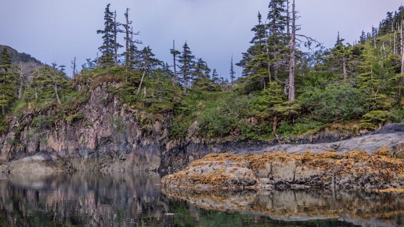 alaska, travel, dark, ocean, outdoors, forest, landscape, tranquility, tranquil scene, sound, prince william sound, land, summer, non-urban scene, tree