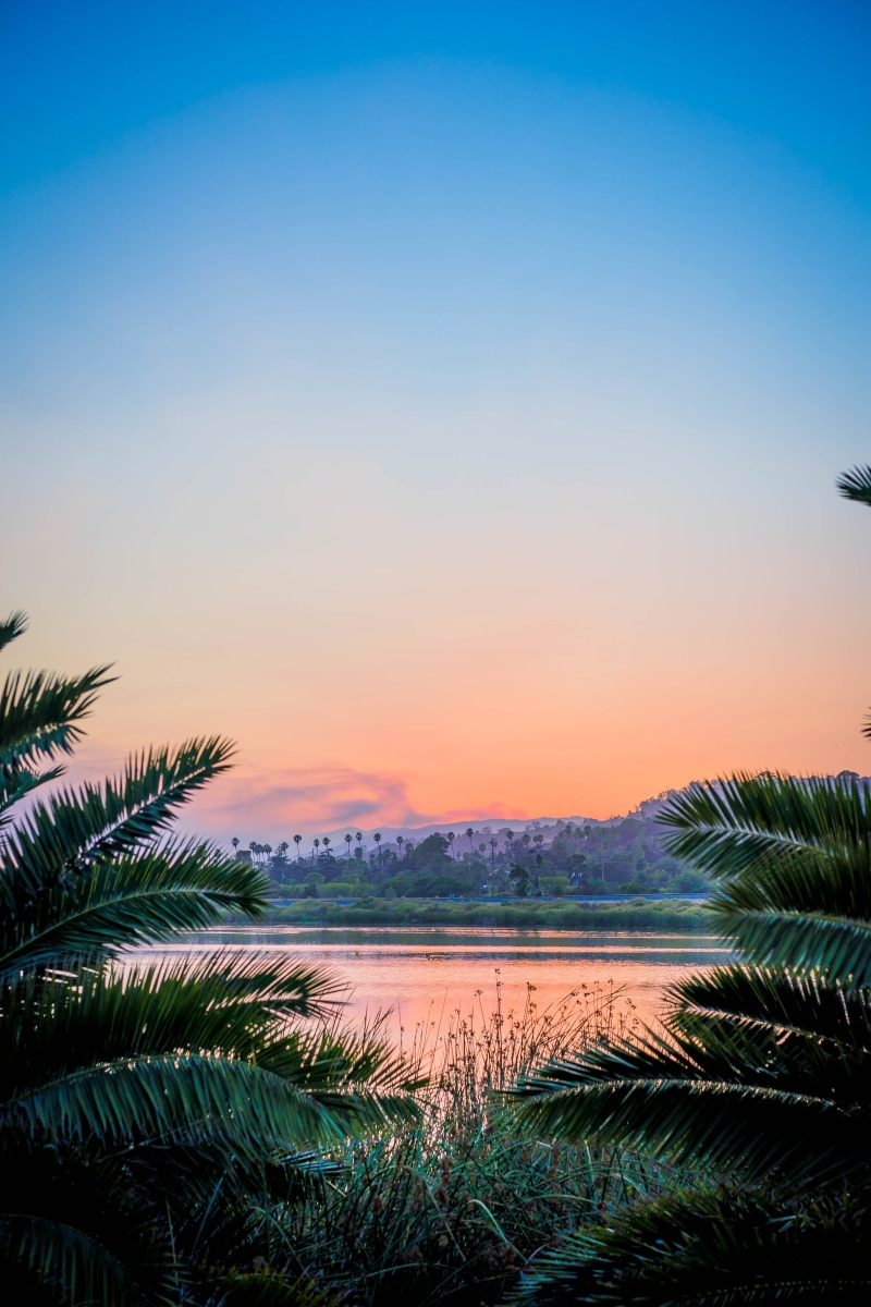 gradient, whittier fire, sunset, growth, beauty in nature, refrection, tranquility, beach, tranquil scene, lake, plant, sky, tree, blue, 5K, scene, palm