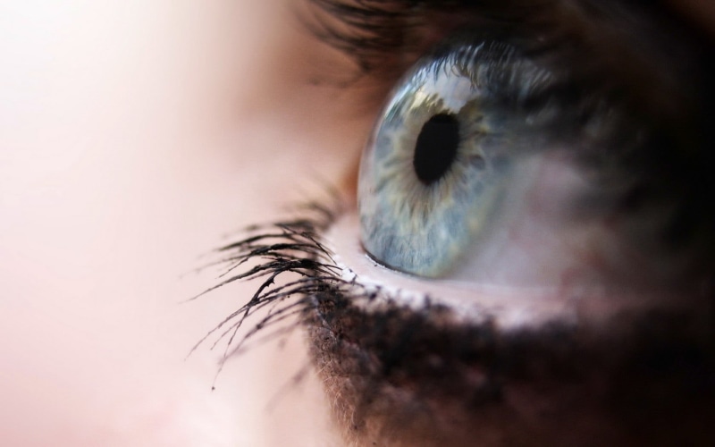 human face, contemplation, s, body part, human eye, eyelashes, 720P, iris - eye, eyesight, eyeball, eye, women, young adult, macro, looking, person, close-up