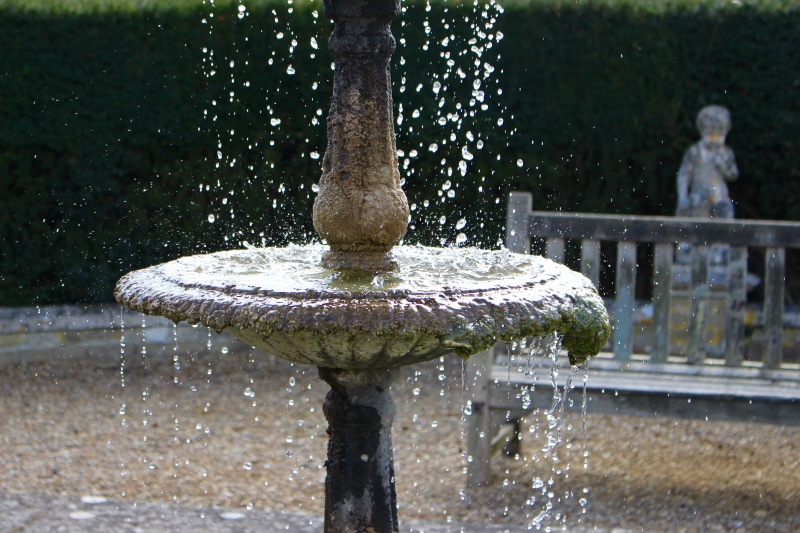 tree, nature, park - man made space, wet, falling water, culford school, splash, spraying, rain, 5K, flowing, water, forest, united kingdom, green, flowing water