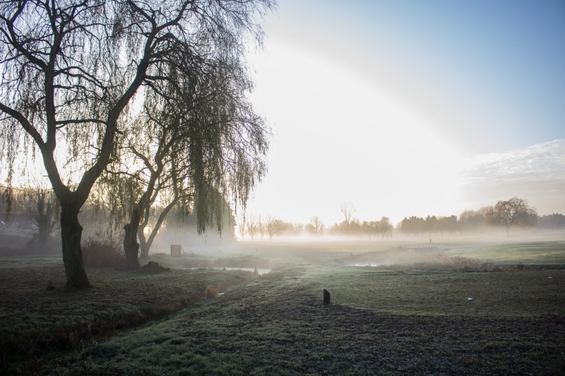 spooky, bury saint edmunds, hazy, landscape, misty, non-urban scene, wildlife, beauty in nature, tranquility, nature, united kingdom, day, golden hour