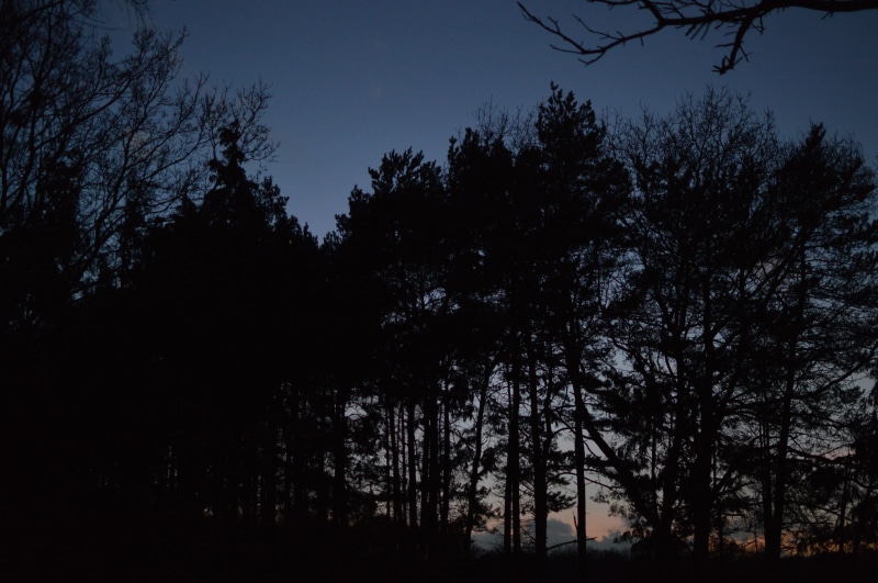 dusk, countryside, growth, bradfield woods, beauty in nature, non-urban scene, 5K, lake, sun, dark, fields, tranquility, silhouette, bury saint edmunds