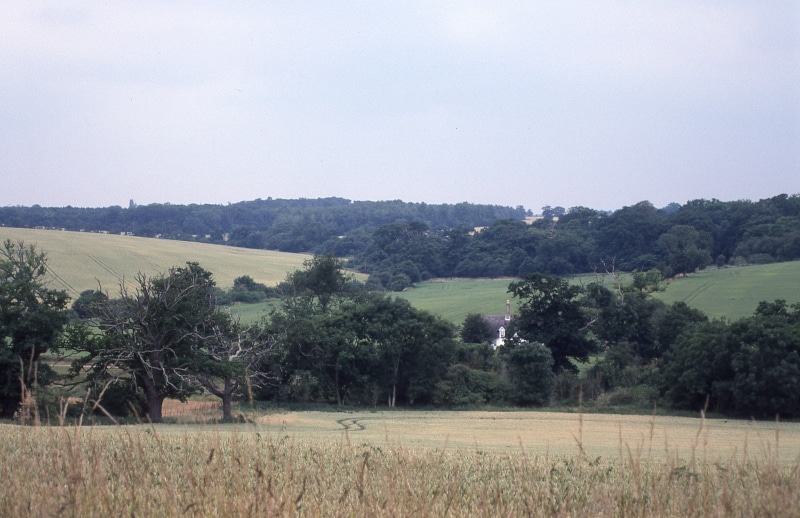 environment, landscape, plant, bury saint edmunds, tree, tranquil scene, tranquility, rural scene, scenics - nature, sky, land, day, 4K, growth, non-urban scene