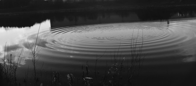scenic, circle, plant, tranquility, lake, black, water, ripple, bury saint edmunds, nature, tranquil scene, 5K, rippled, pattern, united kingdom, reflection
