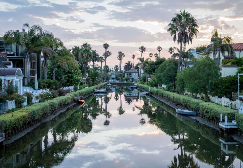 swimming pool, nature, water, plant, venice, los angeles, united states, city, built structure, growth, palm tree, cloud - sky, reflecting pool, building exterior