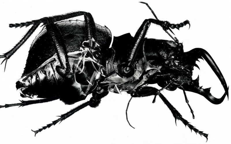 Massive attack, 1080P, Mezzanine, Cover Art, Album Covers