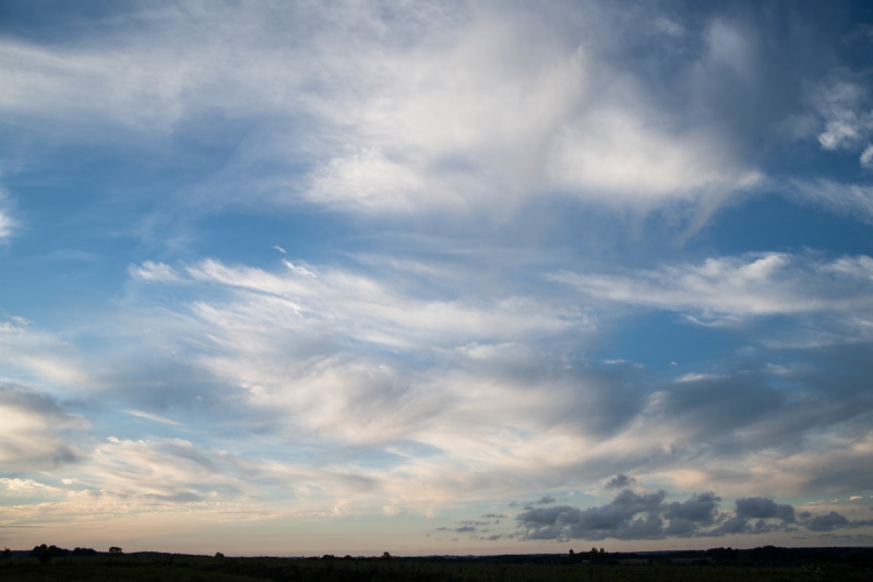 environment, beauty in nature, sky, 1080P, landscape, plant, horizon over land, outdoors, non-urban scene, land, scenics - nature, no people, field, day