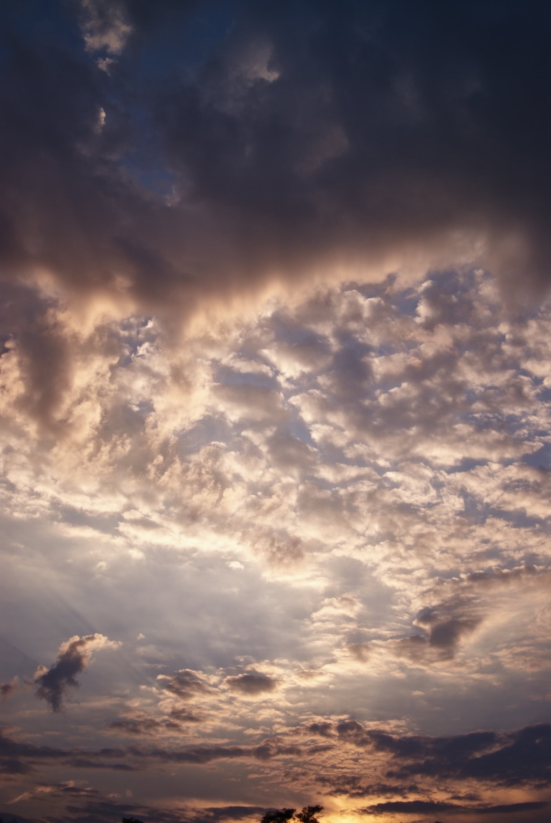 backgrounds, abstract, heaven, clouds, 4K, nature, awe, tranquility, wispy, overcast, no people, meteorology, wind, cloudy, scenics - nature, cloudscape