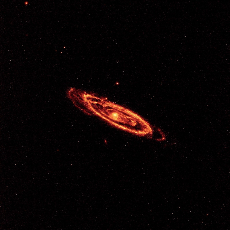 black background, wise, spiral galaxy, animal themes, science, outdoors, nature, animal, animals in the wild, cosmos, messier 31, andromeda, m31, sky, spiral arms