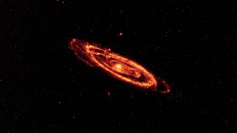 exploding, motion, andromeda, messier 31, nature, animal, mystery, space, planet - space, m31, science, photography, universe, 4K, space exploration, andromeda nebula