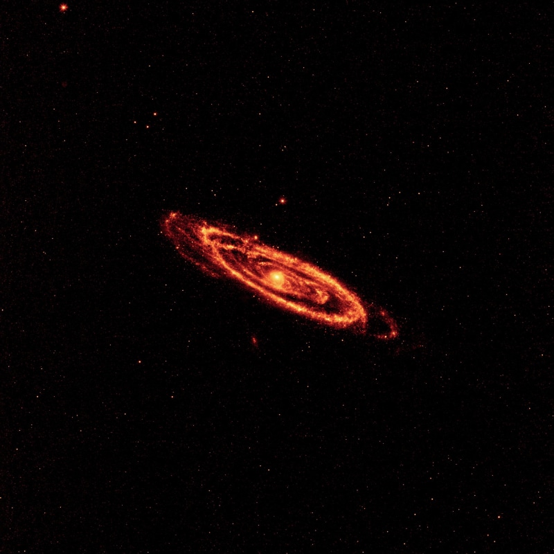 animal wildlife, sea life, galaxy, outdoors, universe, no people, detection, wise, wide-field infrared survey explorer, nature, science, spiral galaxy