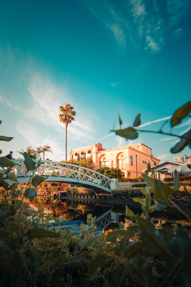 city, flowering plant, tree, growth, freshness, no people, architecture, bridge, building exterior, palm trees, cloud - sky, clouds, day, outdoors, land
