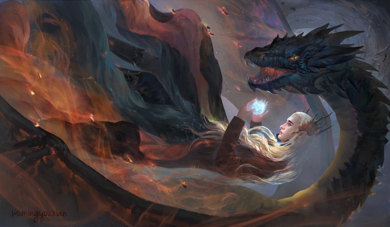 leisure activity, young adult, animal wildlife, Fight for Arkenstone, nature, black, thranduil, men, fantasy, lifestyles, people, hobbit, orange, real people