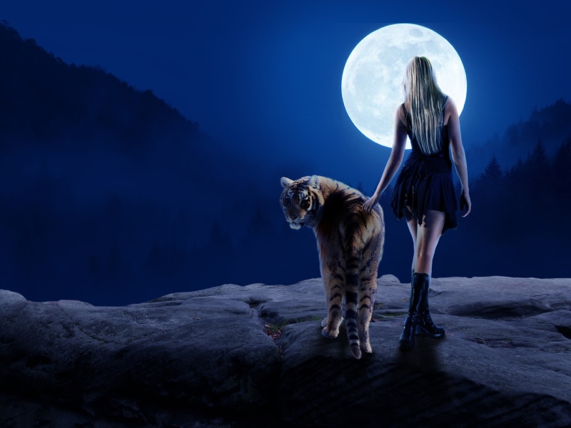 luminos, moon, blonde, Moonlight stroll, girl, night, white, tigru, blue, tiger, luna, fantasy, 1080P