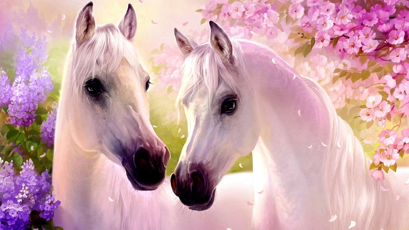 flower, spring, artwork, 4K, mammal, flowering plant, mane, white horse, art, horse, horses