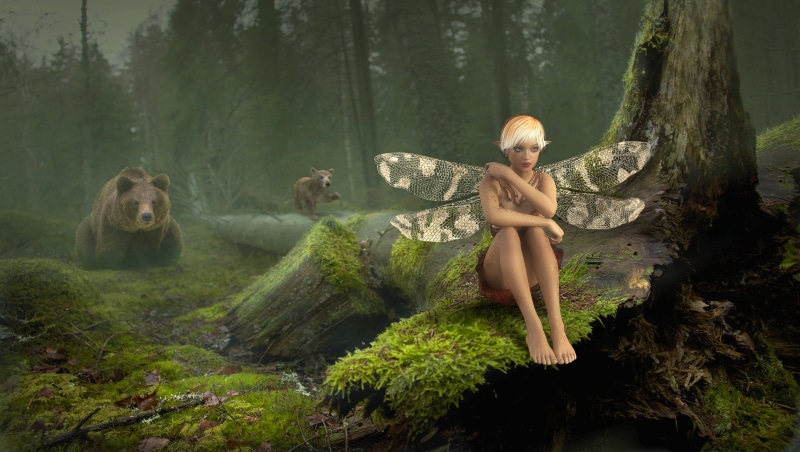 log, one person, elf, beauty, mysterious, lichtblick mood, sitting, beautiful woman, clothing, cut, mood, woman, nature, woodland, fantasy, foggy, fairytale