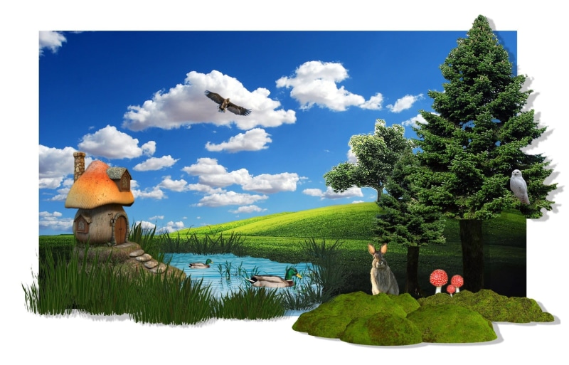 lake, summer, Trees, men, map, hare, clouds, sky, architecture, Mood, raptor, day, cloud - sky, landscape, idyllic, atmospheric, transfer print, pond, green