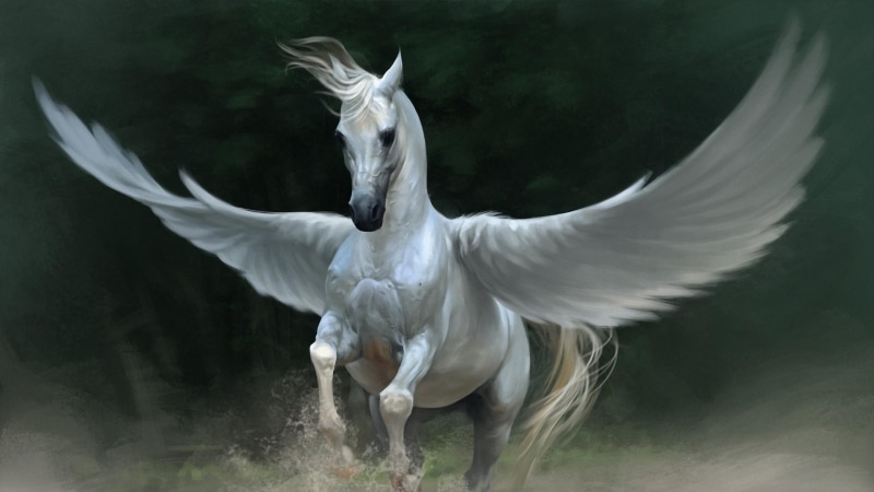 animals, Pegasus, horse, 1080P, wings