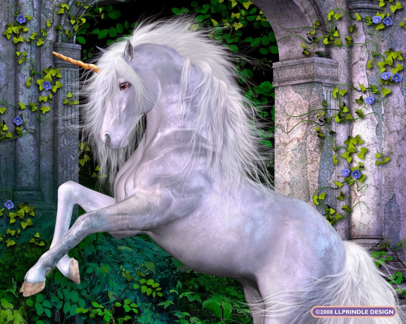 1080P, unicorn, horse, animal, magical