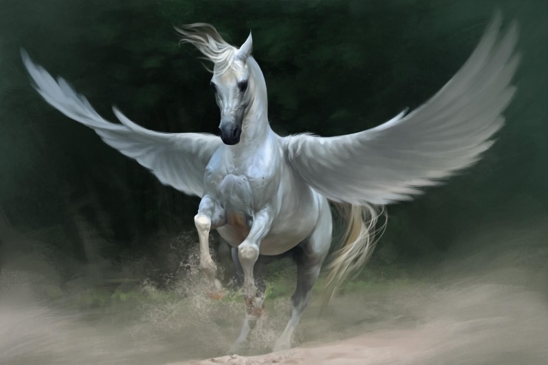 vertebrate, pegasus, bird, horse, no people, flying, feather, nature, land, animal themes, flapping, spread wings, animals in the wild, mid-air, outdoors