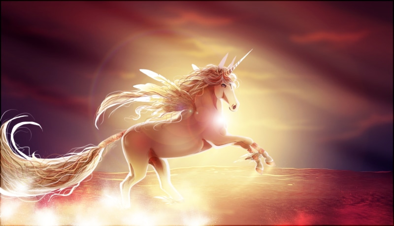 animal, horse, magical, 2K, unicorn