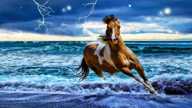 1080P, running, horse, beach