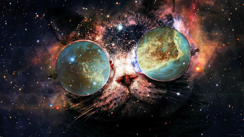 1080P, funny, starry, space, stars, cat, fantasy