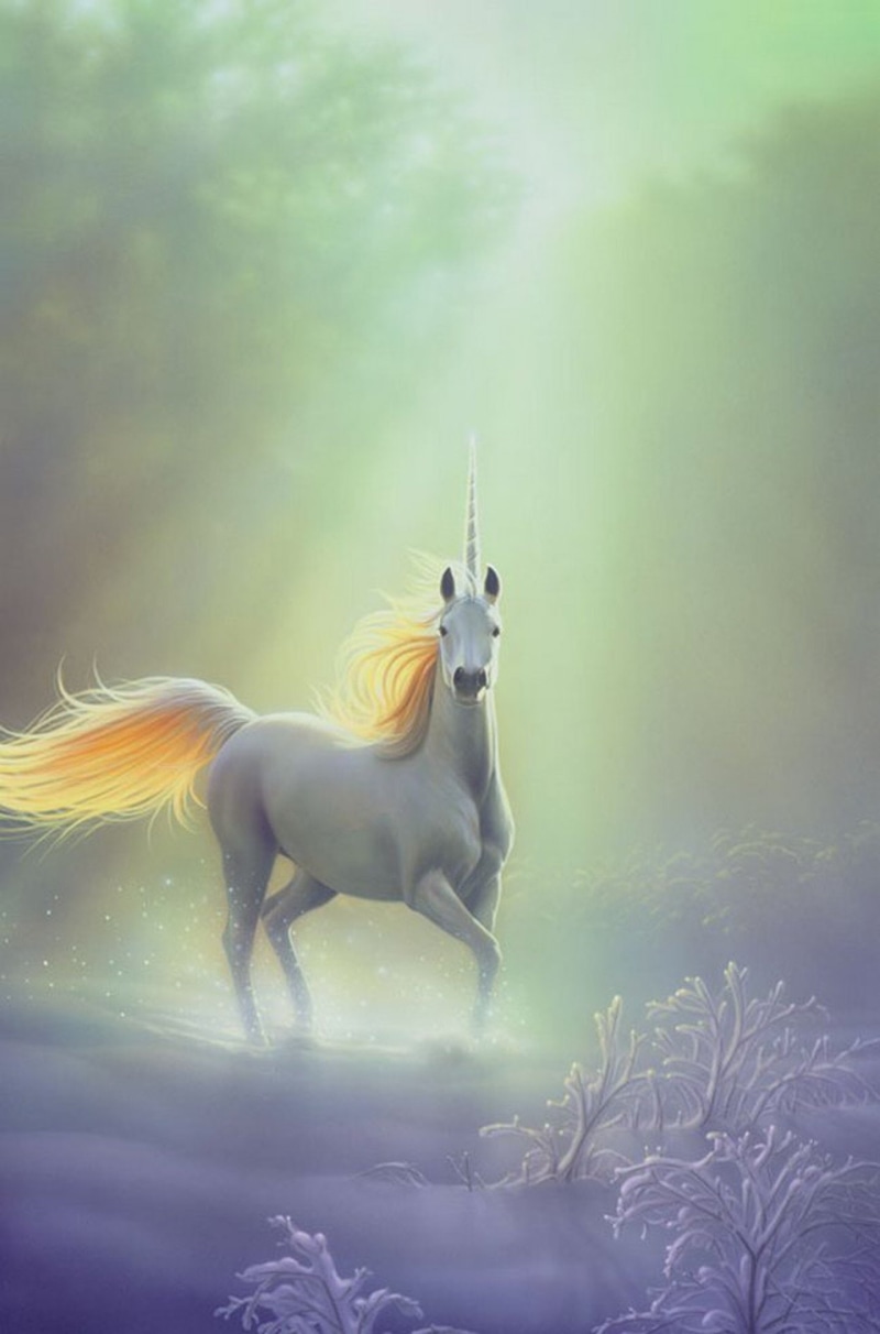 unicorn, 1080P, pegasus, fantasy, horse