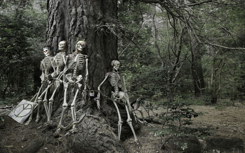 sculpture, male likeness, day, trunk, tree, human representation, 1080P, nature, land, no people, hippie images for desktop background, outdoors, art and craft