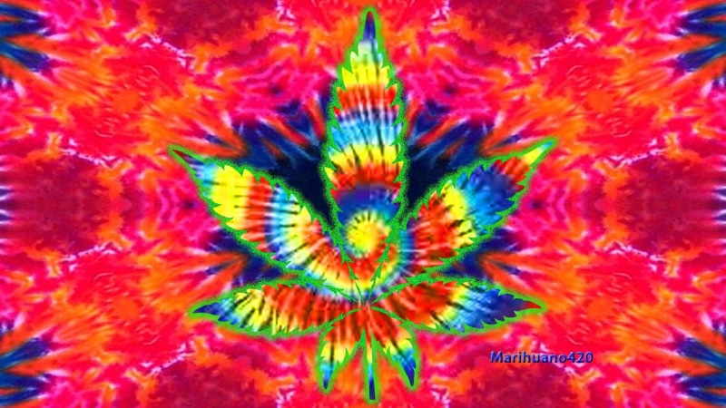 biology, abstract, vibrant color, animal themes, hippie desktop backgrounds, no people, nature, backgrounds, technology, science, close-up, magnification
