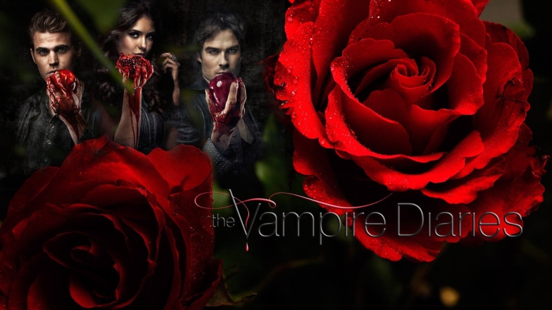 flower arrangement, red, Blood, The Vampire Diaries, bouquet, beauty in nature, plant, 1080P, fragility, flower head, emotion, TV Show, love, text, Horror