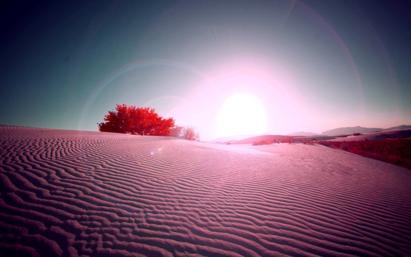 lens, nature, hd, sunlight, sun, flare, sand, 2K, desert