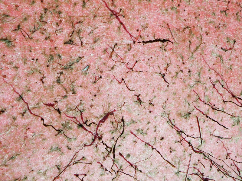 beauty in nature, marble, digital, pattern, flower, growth, Materiaux, outdoors, art, textured, full frame, plant, Texture, no people, pink color, backgrounds