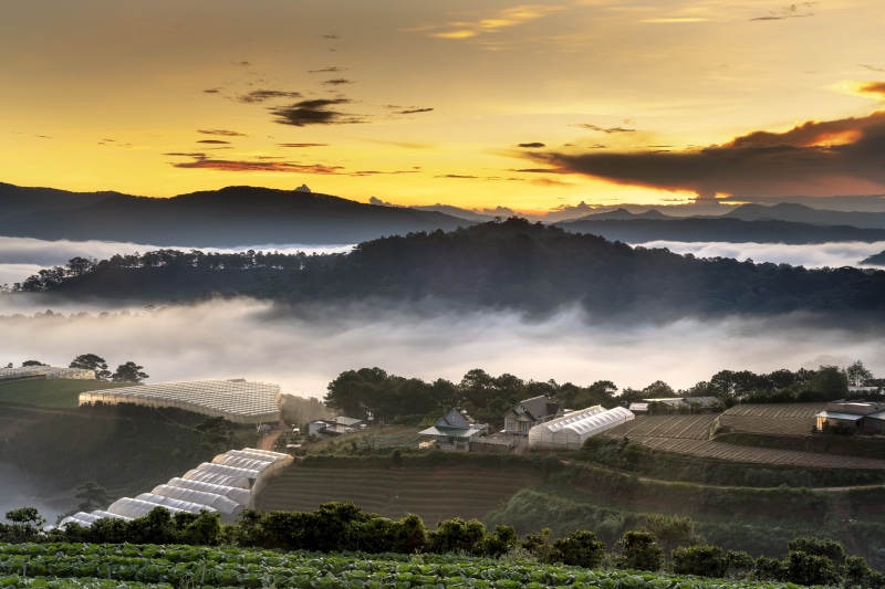 fanciful, no people, fog, tree, magical, non-urban scene, architecture, the morning, land, 8K, dalat, mountain, idyllic, winter, town, sunrise, nice, light