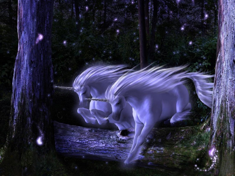 trunk, nature, mammal, white, unicorns, motion, animal, tree trunk, Fantasy Animals, forest, animal themes, tree, land, purple, two, 720P, night, animal wildlife