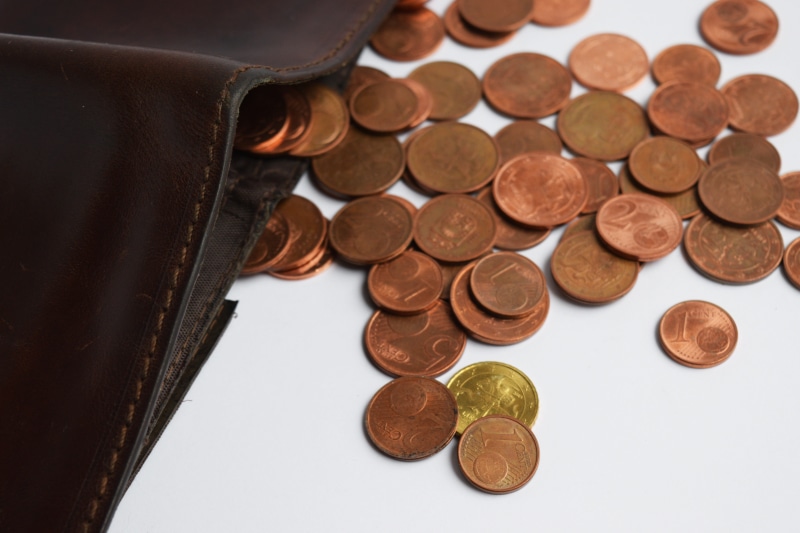 brown, wallet, invest, choice, studio shot, large group of objects, no people, copper, wealth, symbol, save, sign, white background, variation, lower class
