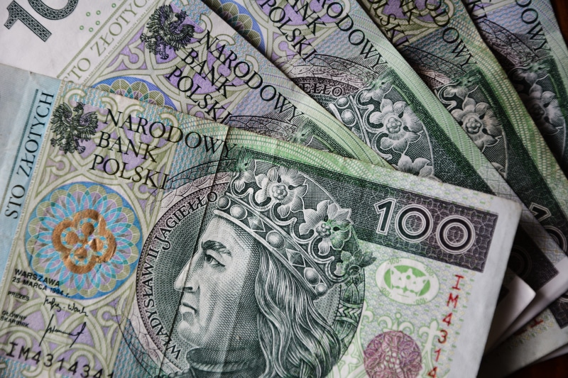 buck, indoors, text, business, cash, the debt, money making, finance, poland, customers, 100, safe, variation, paper, golden, human representation, coins
