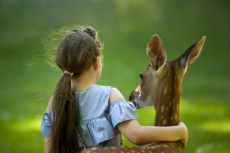childhood, deer, cute, adorable, around, positive emotion, hairstyle, kid, friendship, domestic, little girl, blue, pets, girl, one animal, park, domestic animals