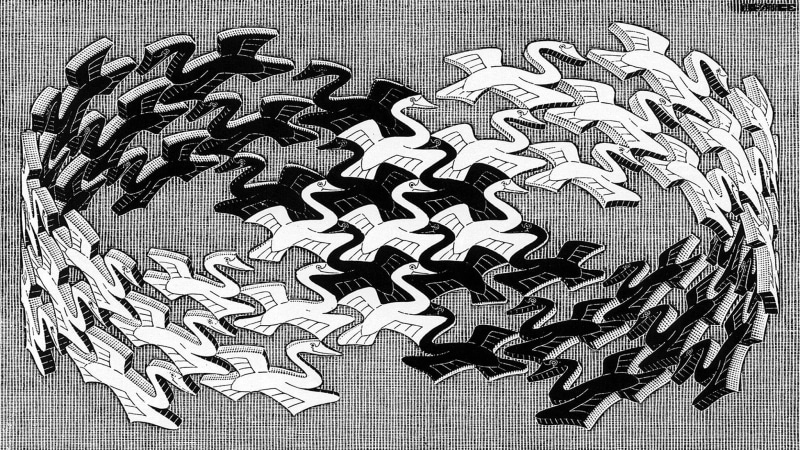 1080P, m, artwork, m. c. escher, 3d, animals, mobius, monochrome, flying, strip, bird, psychedelic, d, escher, mobius strip, c