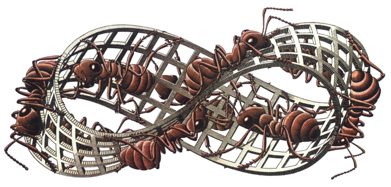 M. C. Escher, sky, studio shot, ants, security, pattern, fishing industry, art and craft, brown, Mobius Strip, metal, no people, arts culture and entertainment