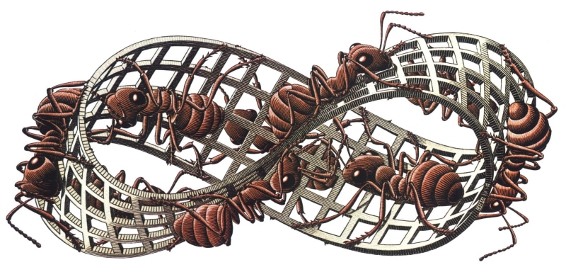 brown, sky, pattern, metal, indoors, artwork m c_ escher insect ants grid 3d white background mobius strip, studio shot, close-up, white background, clear sky