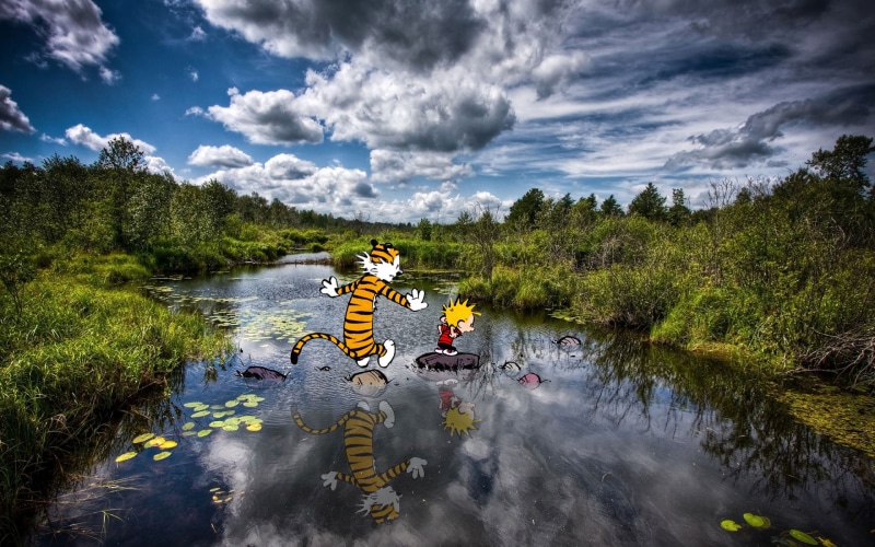 Calvin and Hobbes, Bill Watterson, 1080P, cartoon