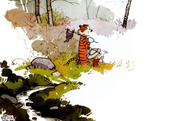 insect, 1080P, outdoors, copy space, animal wildlife, butterfly, leaf, comics, plant, close-up, animal, Bill Watterson, nature, beauty in nature, day