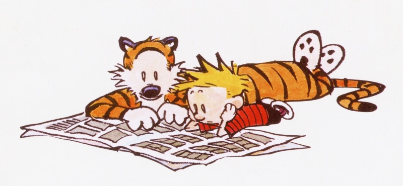 people, cartoon, representation, invertebrate, book, art and craft, boy, Bill Watterson, animal wildlife, 2K, mammal, comics, white background, creativity