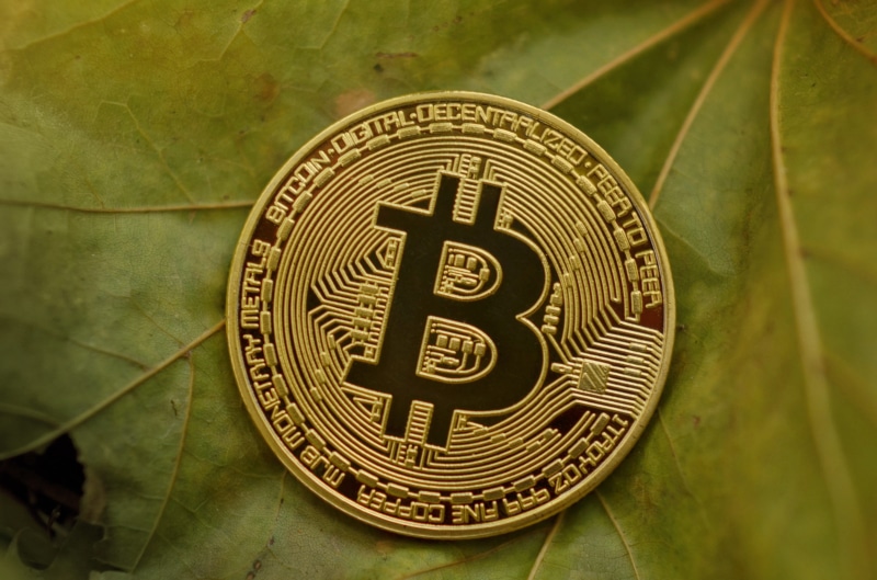 payments, day, coins, business, blockchain, the past, finance, gold, future, circle, exchange, digital, financial, virtual, outdoors, nature, sheet, 4K