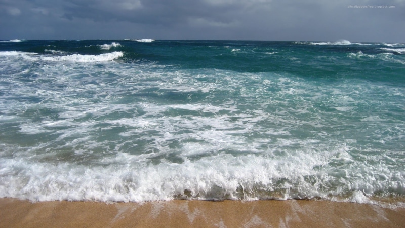 beach, seashore, sand, water, wave, outdoors, motion, horizon, sky, power in nature, sport, brown, land, aquatic sport, nature, beauty in nature, day, horizon over water